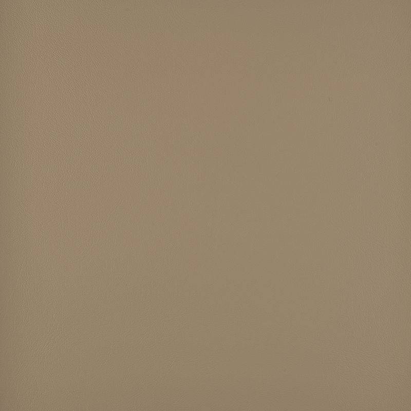 20012_AG_ATLANTIS_FOSSIL