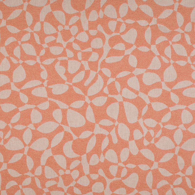 20613PF_AG_ALGAE_CORAL web